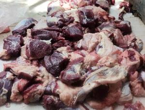 Image: smarthandimage251023114135.jpeg