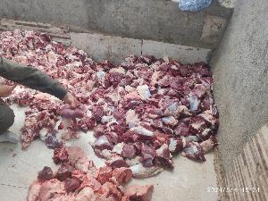 Image: smarthandimage251023115039.jpeg