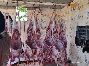 Image: smarthandimage251023120425.jpeg