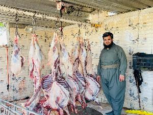 Image: smarthandimage251023120457.jpeg