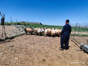 Image: smarthandimage251023120504.jpeg