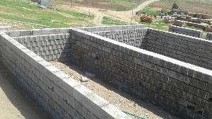 Image: smarthandimage250617071321.jpeg