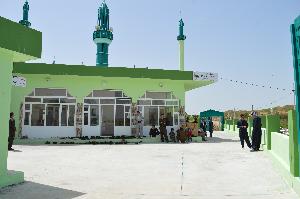 Image: smarthandimage250620040338.jpeg