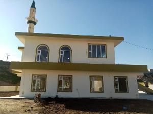 Image: smarthandimage250620073508.jpeg