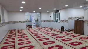 Image: smarthandimage250620075324.jpeg