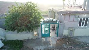 Image: smarthandimage250621040033.jpeg