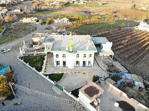 Image: smarthandimage250624021723.jpeg