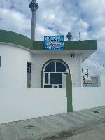 Image: smarthandimage250624022258.jpeg