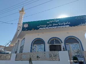 Image: smarthandimage250625104302.jpeg