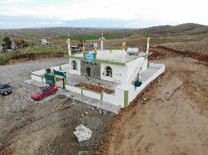 Image: smarthandimage250625104531.jpeg