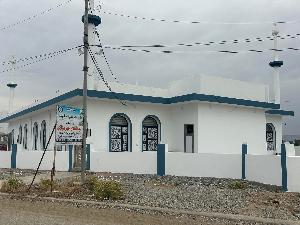 Image: smarthandimage250625105511.jpeg