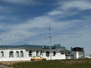 Image: smarthandimage250625110011.jpeg