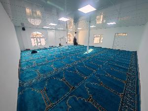 Image: smarthandimage250702013011.jpeg