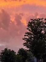 Image: smarthandimage250703092212.jpeg