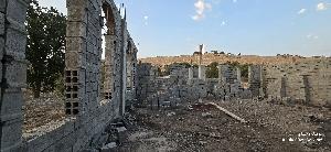 Image: smarthandimage250715024833.jpeg