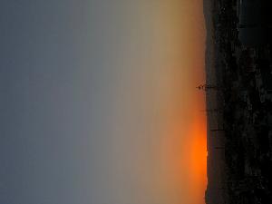 Image: smarthandimage250720023554.jpeg