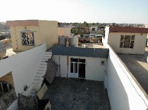 Image: smarthandimage250920035900.JPG