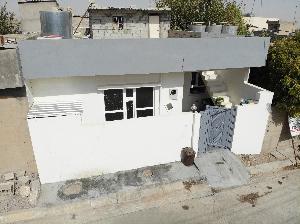 Image: smarthandimage250925090639.JPG