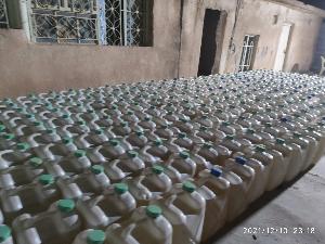 Image: smarthandimage251021024830.jpeg