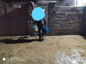 Image: smarthandimage251023115933.jpeg