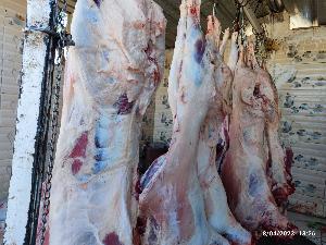 Image: smarthandimage251023120437.jpeg