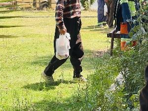 Image: smarthandimage251023121044.jpeg