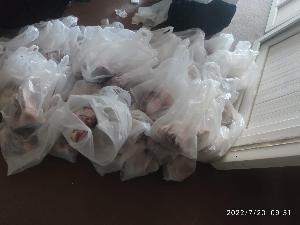 Image: smarthandimage251023121222.jpeg