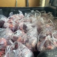 Image: smarthandimage260316112701.jpeg